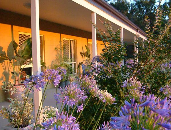 Wallaby Ridge Retreat Mount Tamborine Exteriör bild