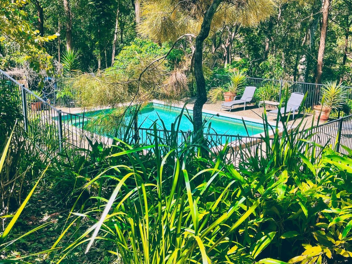 Wallaby Ridge Retreat Mount Tamborine Exteriör bild