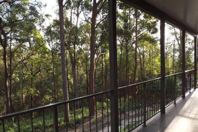 Wallaby Ridge Retreat Mount Tamborine Exteriör bild
