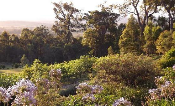 Wallaby Ridge Retreat Mount Tamborine Exteriör bild