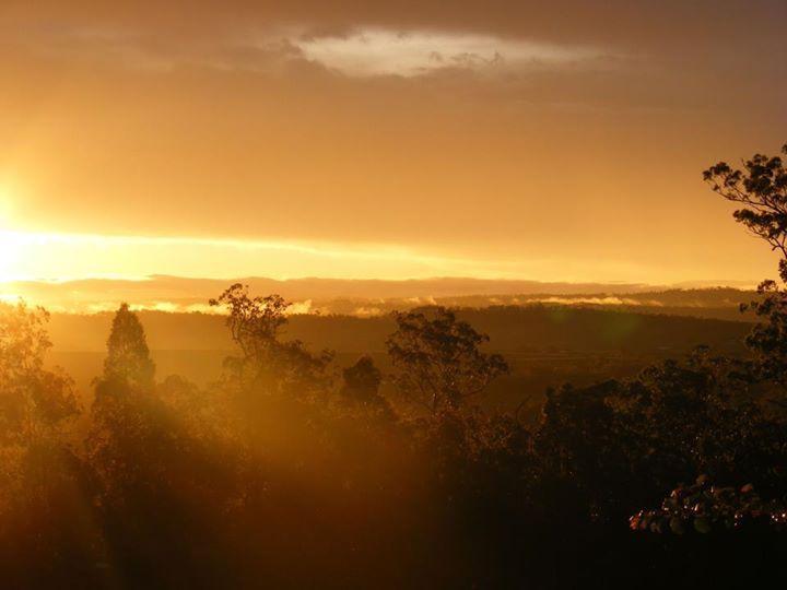 Wallaby Ridge Retreat Mount Tamborine Exteriör bild